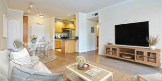 The Orsini Gallery 75