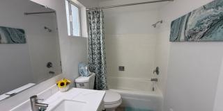 Great Location! 1 Bed 1 Bath Mesa Apartment Gallery 15