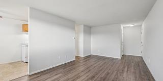 Charlton Terrace Gallery 20