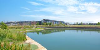 Alta at the Farm Gallery 39