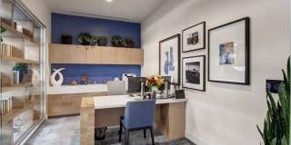 The Pacific Gallery 20