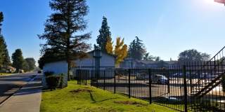 Great Condo for Rent! Gallery 1