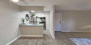Amalie Apartment Homes Gallery 4