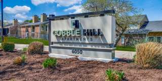 Cobble Hill Gallery 20