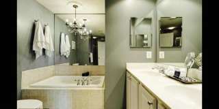 23421 SPICE BUSH Terrace Gallery 20