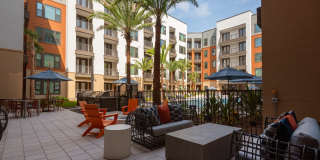 Citron at the Packing District Gallery 25