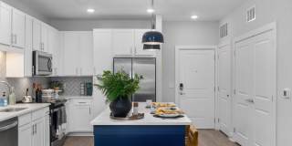 Solis Buffaloe Gallery 19