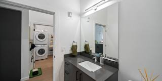 The Piper Gallery 26