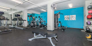 The Enclave at 1550 Gallery 19