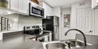 Timberwalk at Mandarin Gallery 15