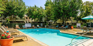 Southridge Gallery 21