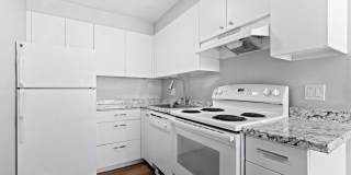 Bellaire Plaza Gallery 8