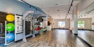 Latitude Gallery 25