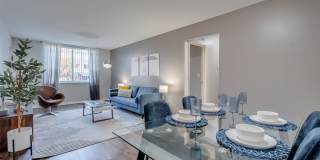 Spice Tree Gallery 4