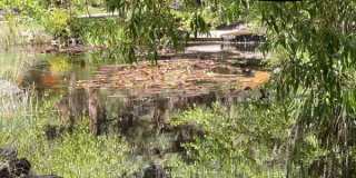 61301 Benham Road Gallery 3