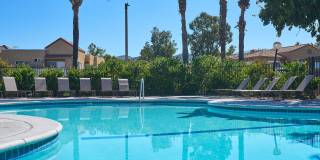 Park Sierra Gallery 97