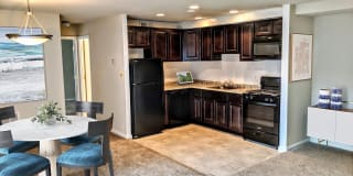 Harpers Forest Gallery 1