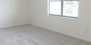 12032 Hawthorn Lake Dr Gallery 13