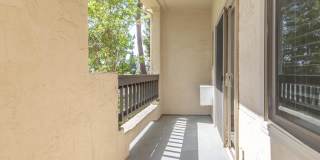 Paloma Vista Apartment Homes Gallery 81