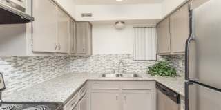 Carrington Court Gallery 4