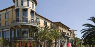 Windsor Winchester Windsor Winchester Gallery 49