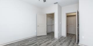 RIZE at Winter Springs Gallery 81