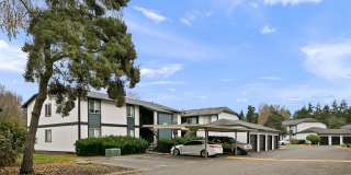 ReNew Dash Point Gallery 60