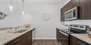 Stella on the Park Gallery 1