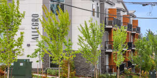 Allegro Lynwood Gallery 17