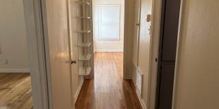 128 Corona Gallery 20