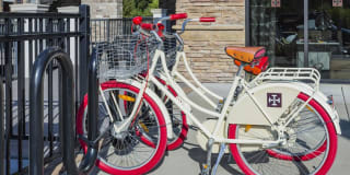 Tapestry at Brentwood Town Center Gallery 32