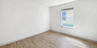 9566 Everton Gallery 14