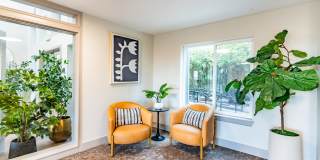 Skyline at Murrayhill Gallery 27