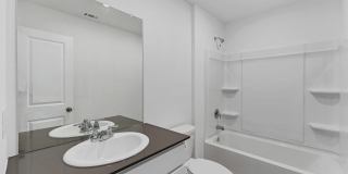 332 Elephants Ear Gallery 16