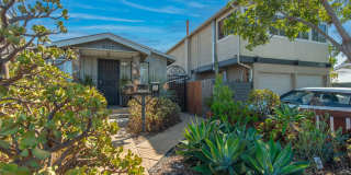 Cozy North Park 1BR/1BA Cottage with Upgraded Kitchen and Bath, All Utilities Included Gallery 1