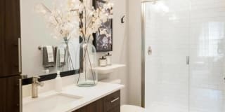 Alta Wren Gallery 13