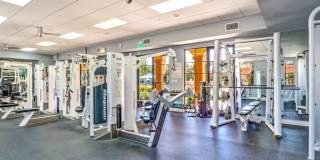 ** PRIVATE POOL HOME IN PALMIRA COUNTRY CLUB BELLA VITA ** 3 BEDROOMS\4 BATH LUXURY UNFURNISHED HOME ** Gallery 33