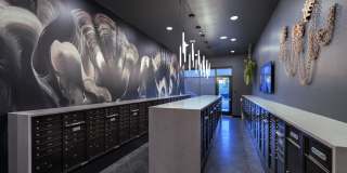 Lucca Fox Valley Gallery 14