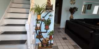 11 Ritter Street Gallery 10