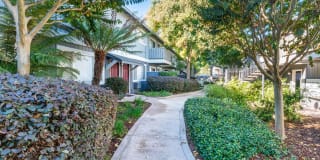 Pruneyard West Gallery 53