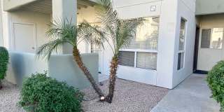 Ground Floor 1 Bedroom 1 Bathroom in Lakeshore @ Anderson Springs Gallery 1