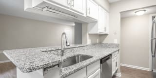 Ellevate St. Ives Ellevate St. Ives Gallery 1