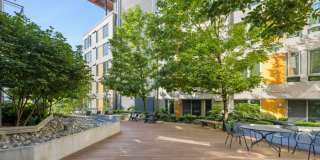 Eleanor Eleanor Gallery 39