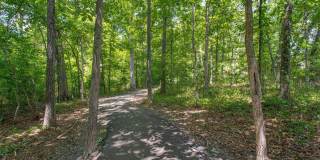 21 FERGUSON Court Gallery 38