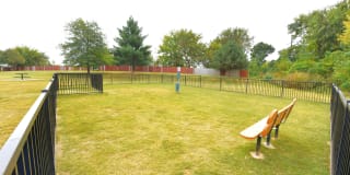 Ashton Heights Gallery 19