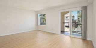 Northpark Gallery 24