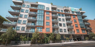 Maia Avira at Glendale Gallery 5