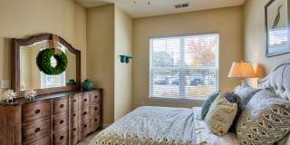 Solace Apartments Gallery 15