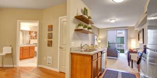The Artiste Apartment Homes Gallery 19