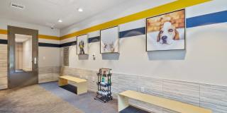 Reverie at River Hollow Gallery 11